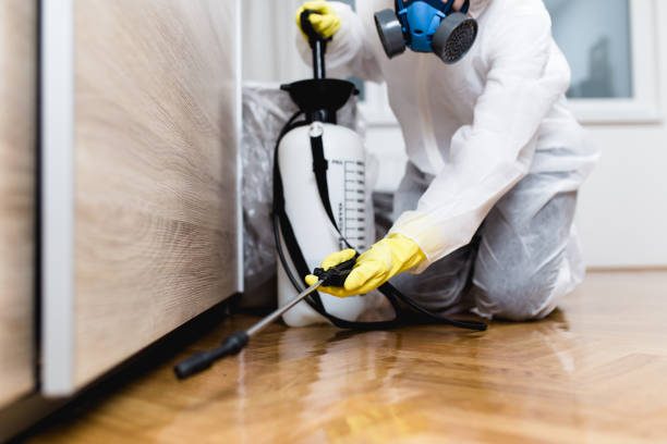 Best Flea Control Services  in Inverness, CA