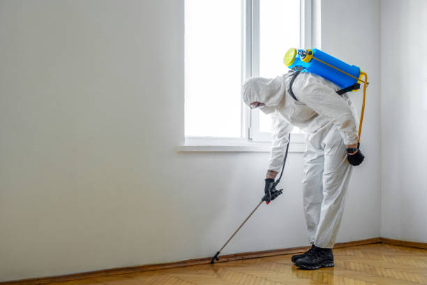 Best Wasp Removal Services  in Inverness, CA