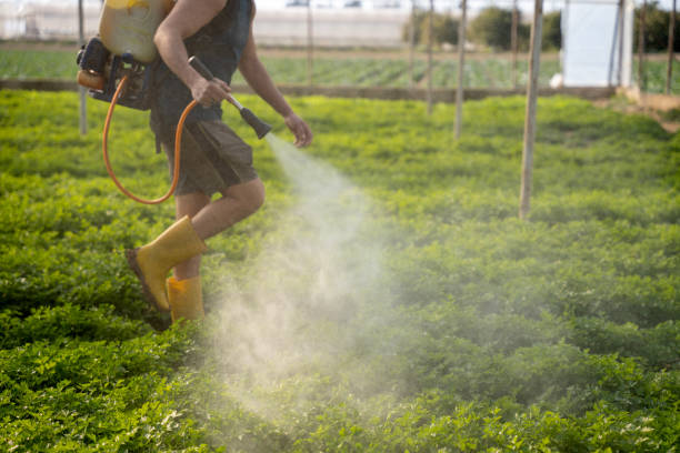 Best Pest Removal Services  in Inverness, CA