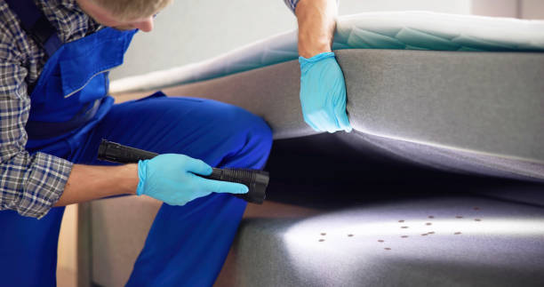 Best Best Pest Control Companies  in Inverness, CA