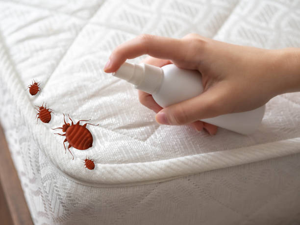 Best Pest Inspection Near Me  in Inverness, CA