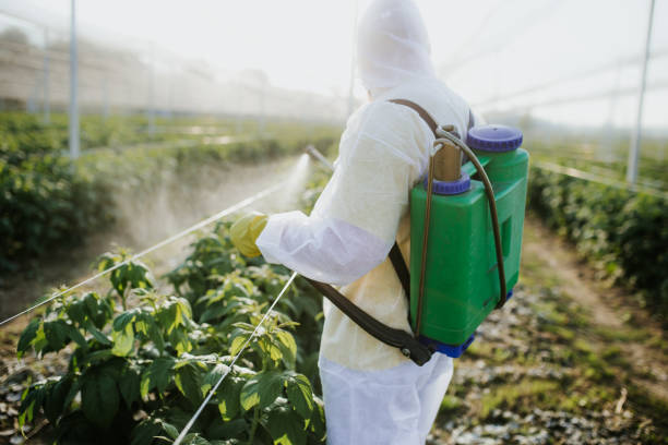 Best Ant Control Services  in Inverness, CA